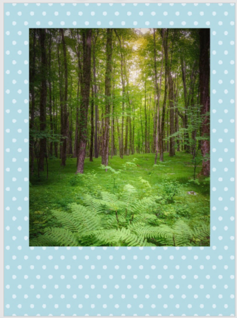 Magnet Polaroid - Lot de 10